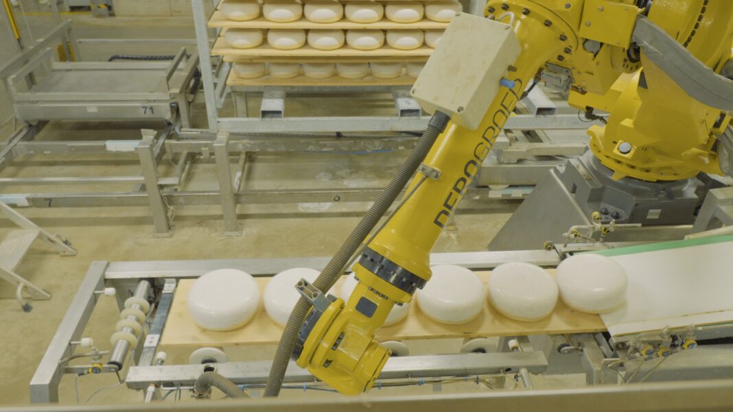 Amalthea Uses Infor Integrated AI Solution to Help Improve Cheese Quality & Yields, Build Customer Loyalty and Boost Sustainability
