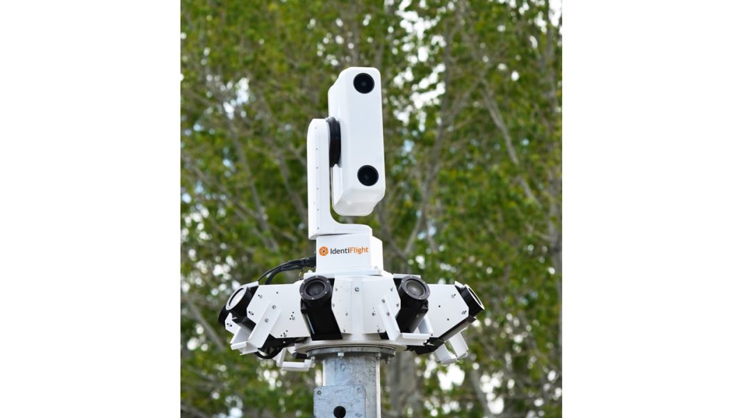 IdentiFlight Debuts V5 Technology: Elevating Wind Farm Wildlife Protection