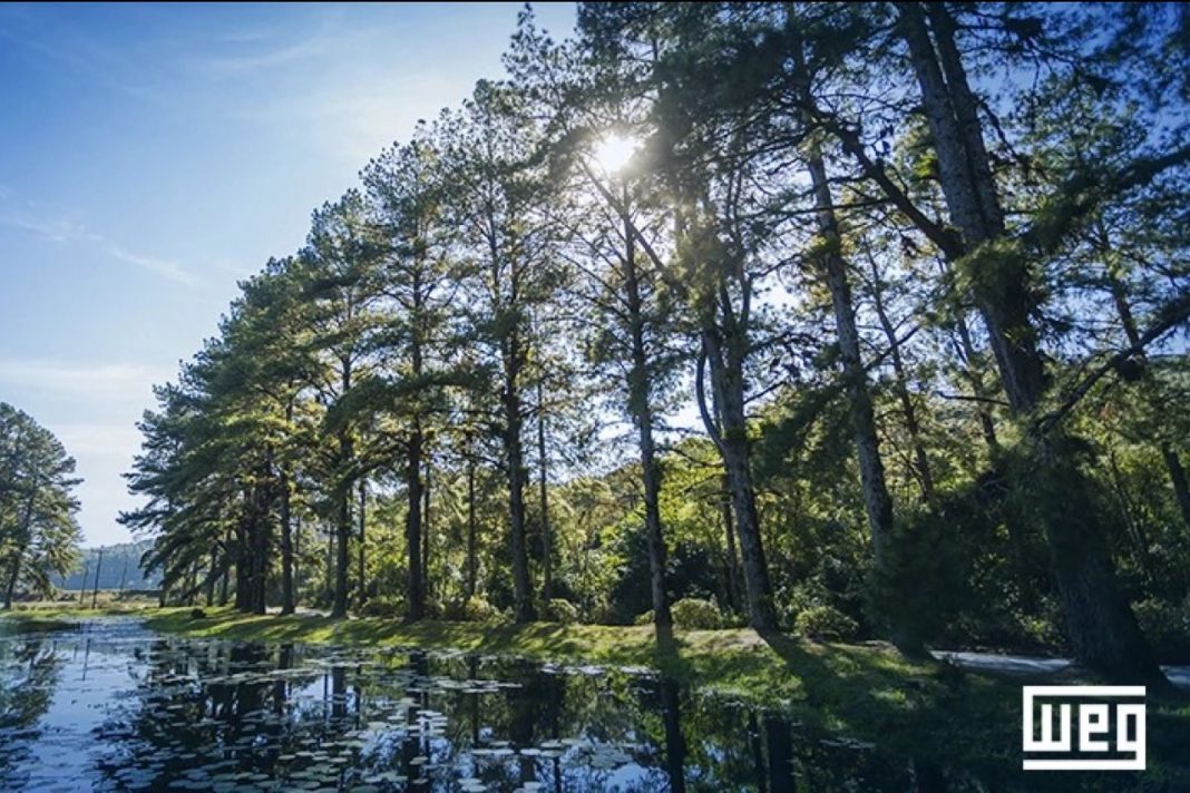 WEG releases Integrated Annual Report, reinforcing its commitment to sustainability
