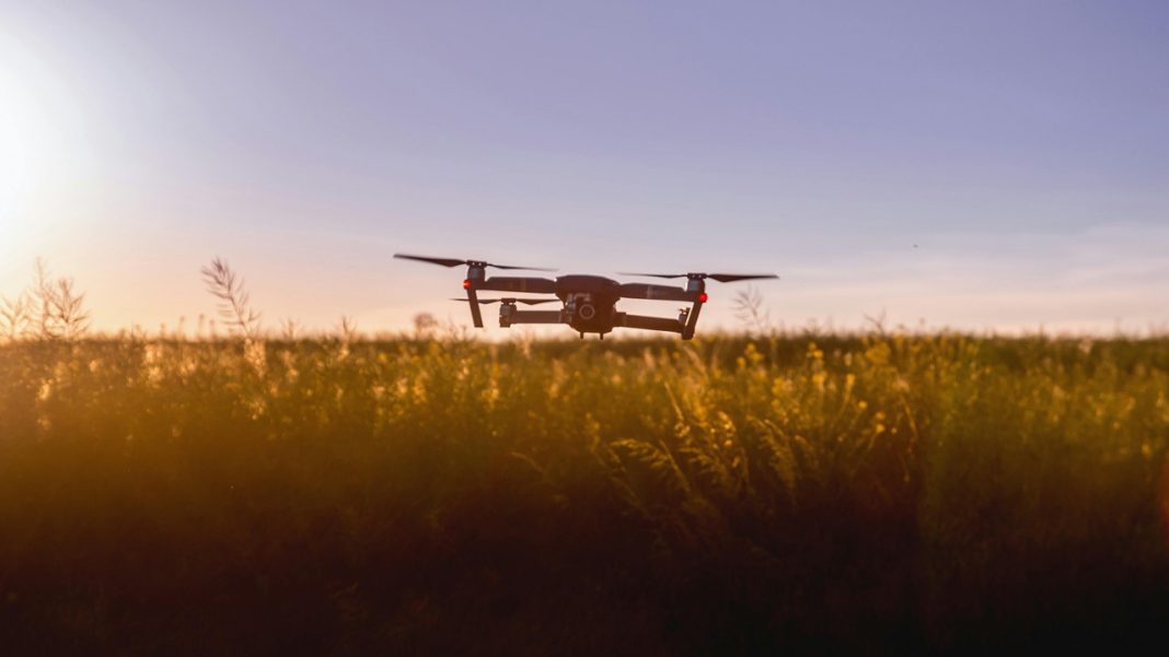 Can Drones Safeguard Europe’s Wildlife?