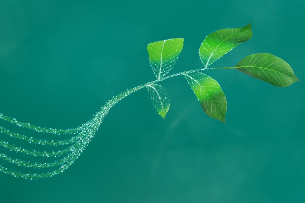 Infineon presents microcontroller and sensor solutions for the future of AI, IoT, mobility, and robotics at embedded world 2026