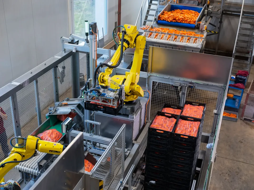 Packing-and-palletising-are-areas-where-automation-can-deliver-immediate-efficiency-.webp Robotic palletising system in a food-to-go manufacturing facility packing sandwich and snack products